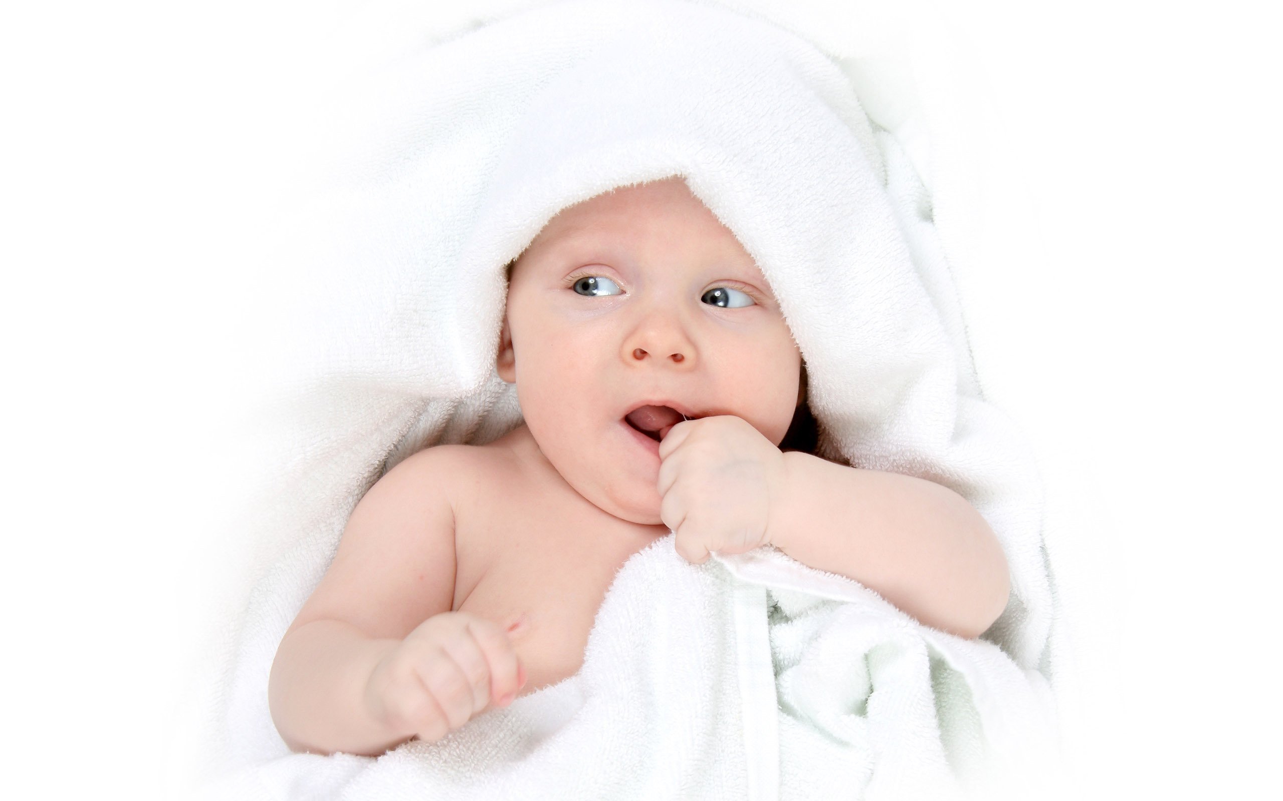 烟台代怀生子助孕机构试管婴儿成功率如何